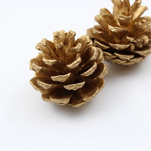 Set of two gold natural pine cones with metallic finish for Christmas tree decoration