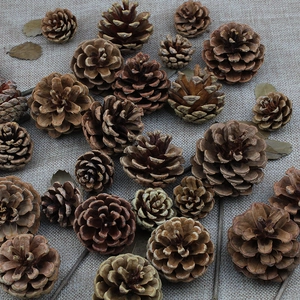 Natural pine cones on rustic burlap background for Christmas decorations and floral crafts