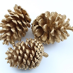 Three golden natural pine cones set for Christmas tree decoration on white background