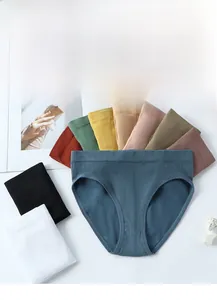 Detailed texture of seamless ribbed cotton panties in various Morandi colors for women