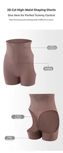 Detail of high waist shaping panties with 3D cut and bone support in mauve