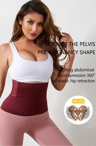 Détail de la ceinture pelvienne bordeaux avec diagramme de compression et de soutien