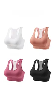 Detail view of seamless wireless sports bras with breathable mesh back in four colors