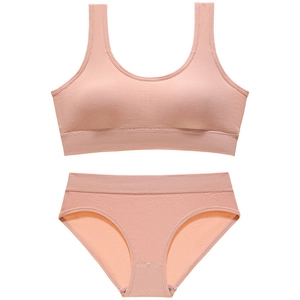Women's seamless ribbed lingerie set in dusty rose with wire-free bra and matching briefs
