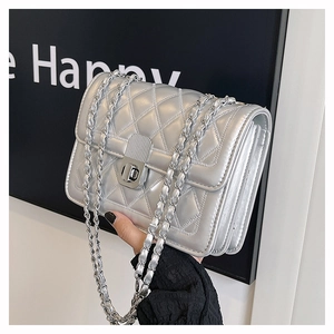 Silver quilted chain bag detail with metal clasp and multi-layer gusset design