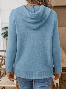 Vista posteriore di un maglione blu con cappuccio in maglia morbida effetto visone