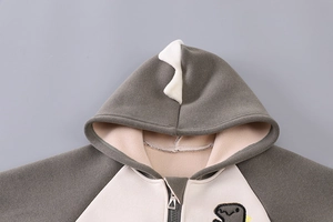 Detail der Winterjacke für Jungen mit Kapuze, Dinosaurier-Stacheln und Stickerei