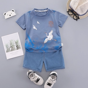 Boys summer outfit set with grey-blue crane print t-shirt and casual denim shorts