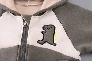 Detail von Jungen-Kapuzenpullover mit weichem Fleecefutter und Dinosaurier-Stickerei