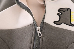 Detail eines Baby-Winter-Hoodies mit Dinosaurier-Stickerei und hochwertigem Reißverschluss