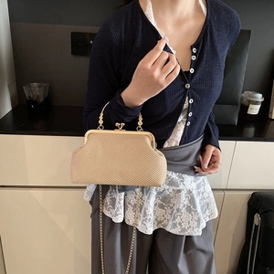 Retro metallic woven shell bag with gold clasp and bead handle shown on a model