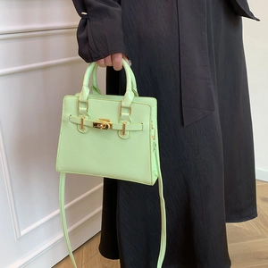 Chic mint green small handbag with dual handles and gold-tone twist lock on black dress