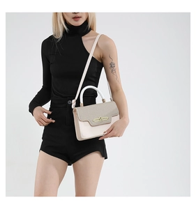 Detail of elegant two-tone leather handbag featuring a gold buckle and slim shoulder strap