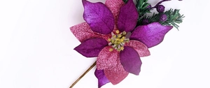 Detailed close-up of purple glitter poinsettia flower with golden stamen and pine needles