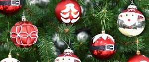 Detail von roten geprägten und transparenten Christbaumkugeln an grünen Zweigen