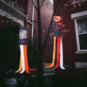 Halloween outdoor windsocks with skull and pumpkin designs hanging on autumn branches