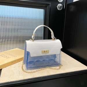 Women Quilted Transparent Crossbody Bag Crocodile Pattern PU PVC Patchwork Handbag Fashion Square Bag Gold Chain Shoulder Bag