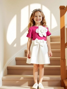 Toddler Girls 2 Pieces Summer Outfit Set 3D Flower Short Sleeve Top Bow Knot A-Line Skirt Sweet Princess Party Clothes