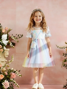 Girls Rainbow Mesh Princess Dress With Matching Bag 3D Floral Artificial Pearl Embellished Puff Sleeve Gown Birthday Party