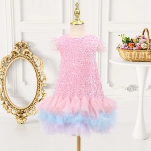 Detail of pink sequin bodice with soft feather shoulders and gradient mesh on tutu dress