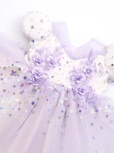Elegant purple girls princess dress with floral embroidery and sparkly sequins on tulle