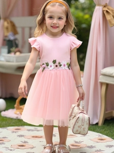 Rosa Mädchen Prinzessinnenkleid mit Flügelärmeln, Blumen-Taille und Tüllrock-Design