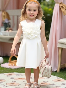 Girls Sleeveless 3D Flower Princess Dress Polyester Mesh A-Line Formal Party Gown Wedding Ceremony Dress For Kids