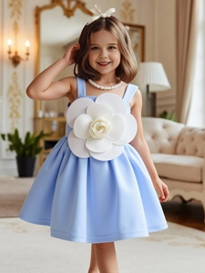 Abito da principessa azzurro per bambine con decorazione floreale per feste eleganti