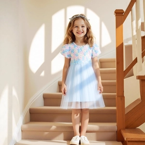 Close-up of light blue princess dress featuring floral embroidery and mesh layers