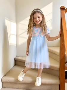 Girls Mesh Princess Dress Summer Korean Style 3D Flower Puff Sleeve Party Dress Little Girls Birthday Wedding Clothing