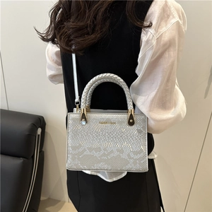 Chic silver snakeskin crossbody bag with woven handle and Fashion & Bags text