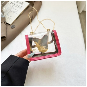 Detailed shot of transparent PVC mini bag with pink faux leather trim and golden chain