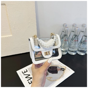 Detail of transparent PVC mini bag with pearl handle and golden chain shoulder strap