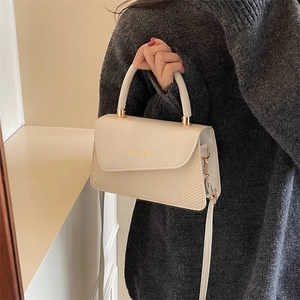 Minimalist beige leather and woven crossbody bag with gold fashion text and hardware