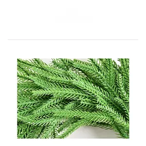 Close-up of lifelike Norfolk pine needles with realistic soft texture and green detail