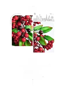 Close-up of bright red berries and green serrated leaves on a festive Christmas wreath