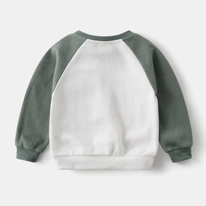 Detail view of boys raglan sweatshirt showing waffle knit texture and ribbed collar