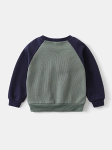 Boys raglan sleeve waffle knit sweatshirt with navy blue sleeves and sage green body