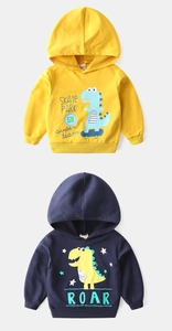 Detail of kids hooded sweatshirts with colorful cartoon dinosaur prints and ribbed cuffs