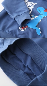 Detail of blue hoodie featuring soft fleece lining and high-quality dinosaur print texture