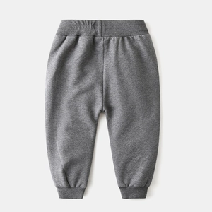 Kids dark grey joggers with elastic waist and dinosaur embroidery for spring and autumn