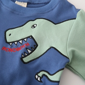 Kinder Langarm-Sweatshirt mit Dinosaurier-Aufnäher und grünen Ärmeln im Kontrast