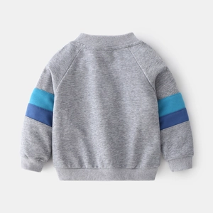 Toddler boys gray zip-up cardigan with blue color-block sleeves and ribbed cuffs