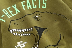 Détail du sweat à capuche en coton vert olive avec motif dinosaure et texte imprimé