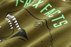Gros plan d'un sweat pour enfant vert olive avec imprimé T-Rex et texture de tissu précise