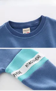 Detail of blue crewneck sweatshirt with ribbed collar, brand label, and decorative sleeve tape