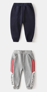 Close-up of boys thick fleece joggers with elastic waist and thriving print detail