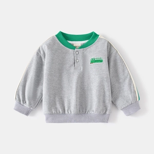 Detailed macro view of gray toddler sweatshirt featuring green crocodile embroidery and buttons