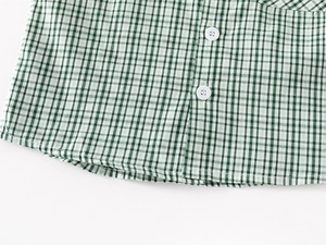 Detail of green and white gingham shirt featuring rounded hem and white buttons