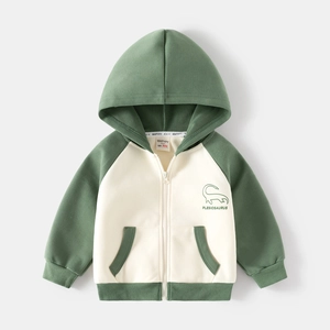 Kids color-block hooded dinosaur sweatshirt with zipper and plesiosaurus print